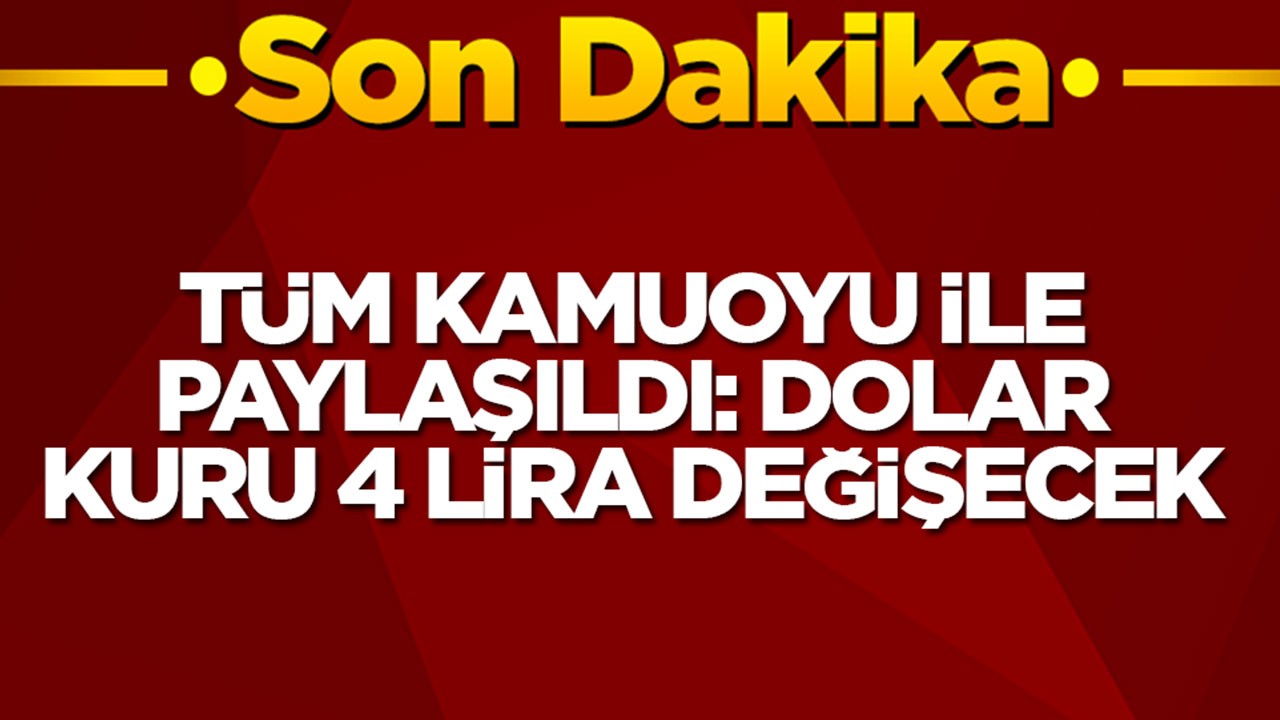 Tüm kamuoyu ile paylaşıldı: Dolar kuru 4 lira değişecek