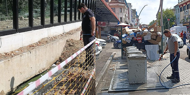 Tüm şehir sivrisinekle mücadele ediyor!