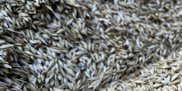 Türkiye'nin dört bir yanına gönderiliyor! Kabulca ve kaplıca ismiyle biliniyor! 12 bin yıllık geçmişi var