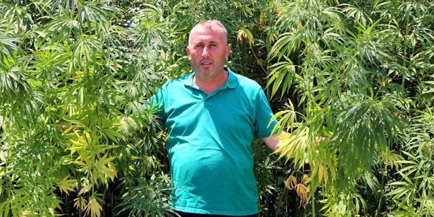 Tüm Türkiye'nin gözü orada! Boyları 5 metreyi aştı