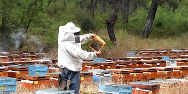 Tüm ülkeler sıraya girdi