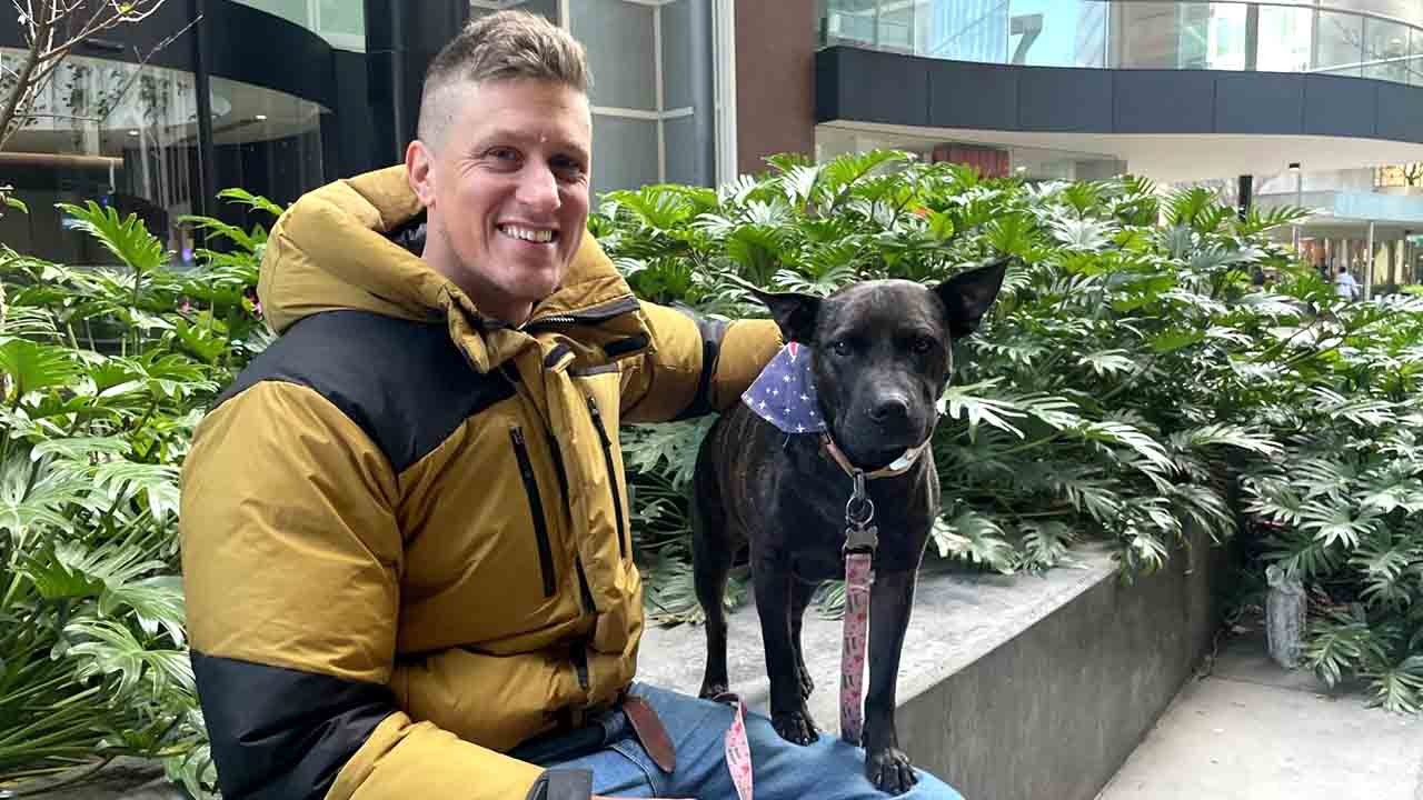 Tümör hızla küçüldü: Köpeğe yapay zekalı kanser aşısı