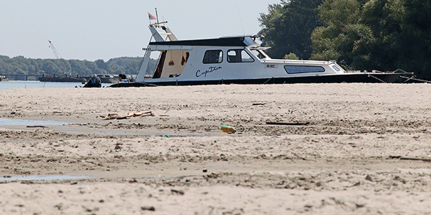 Tuna Nehri'nde korkutan görüntü