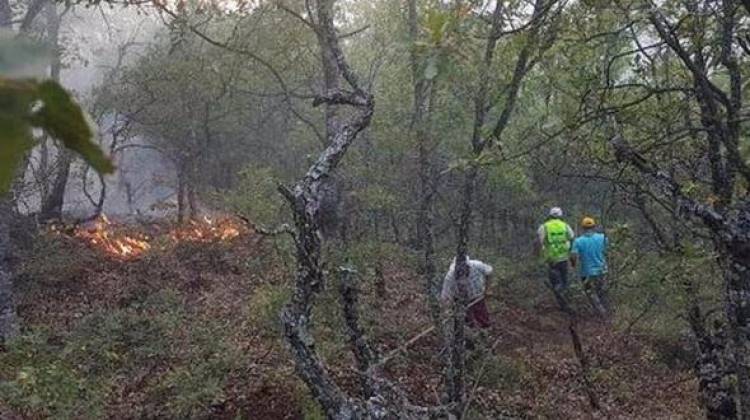 Tunceli Valiliği duyurdu: Fotoğraflar sahte!