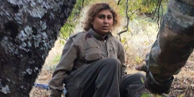 Tunceli'de 6'sı kadın 13 terörist öldürüldü