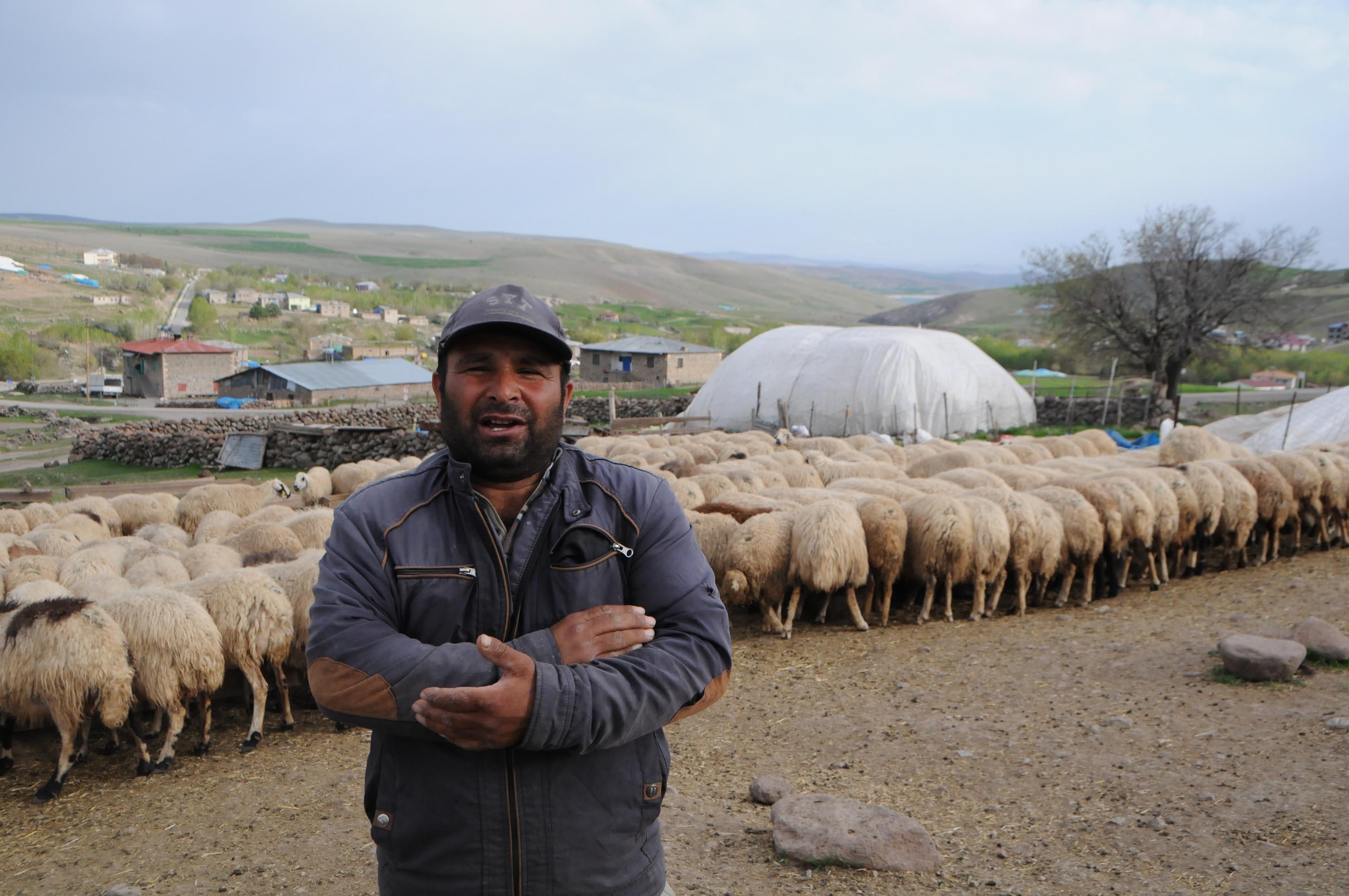 Tunceli'de 6 bin lira maaşla çoban aranıyor!