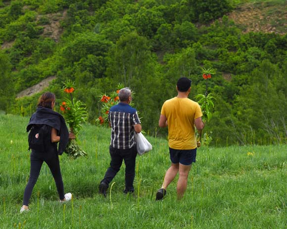 Tunceli’de böyle görüntülenmişlerdi... 180 bin TL idari para cezası verildi