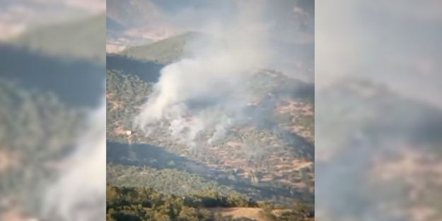 Tunceli’de çıkan orman yangını kontrol altına alındı