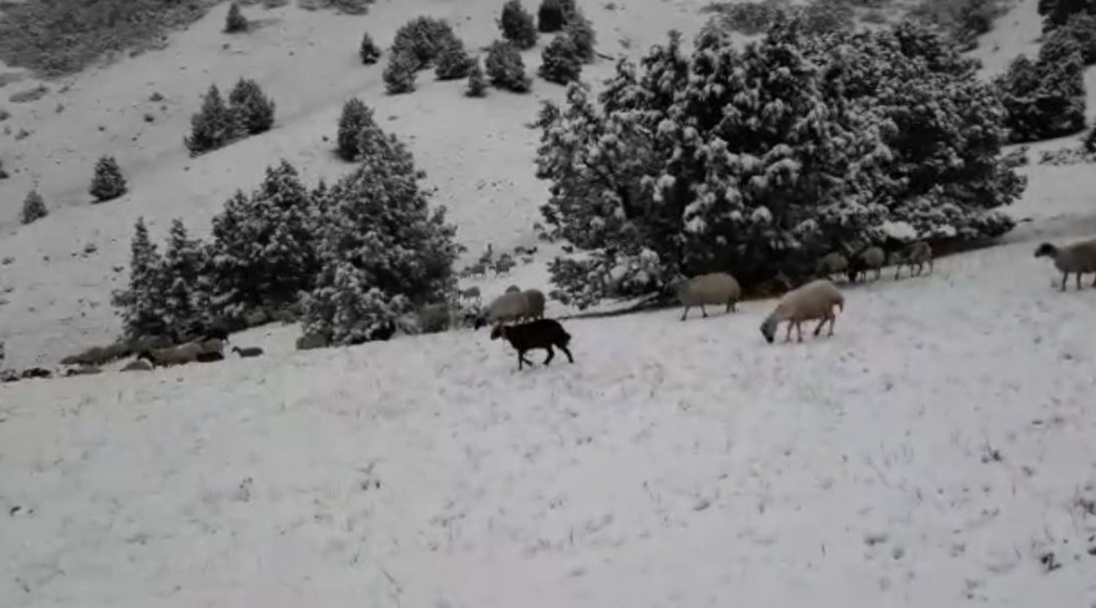 Tunceli’de kar sürprizi 