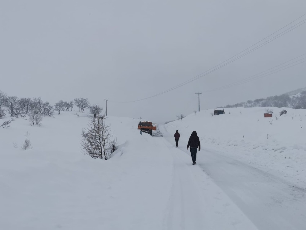 Tunceli’de kar yağışı etkisini sürdürüyor, 176 köy yolu ulaşıma kapandı 