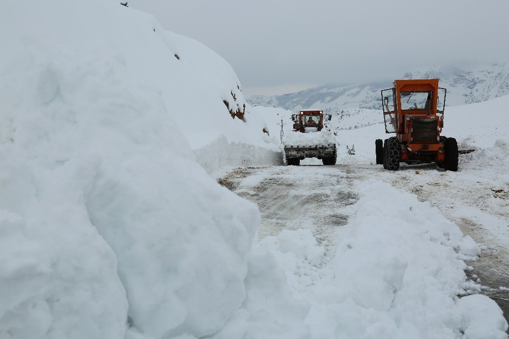 Tunceli’de kardan kapanan 76 köy yolu açıldı, 63’ünde çalışma sürüyor 