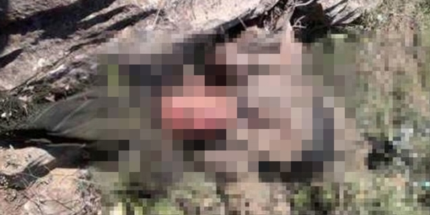 Tunceli'de öldürülen hain bakın kim çıktı