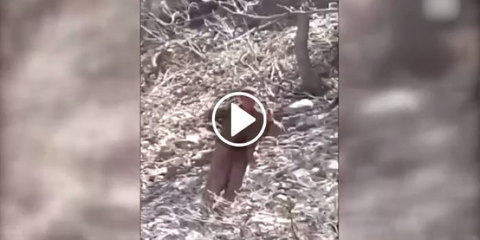 Tunceli'de teröristin teslim olma anı kamerada