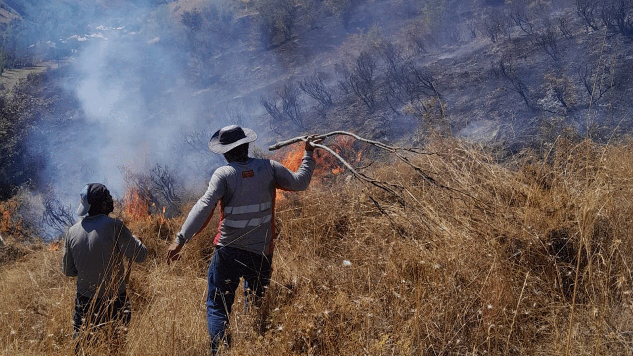 Tunceli'deki yangın ormanlık alana sıçramadan söndürüldü