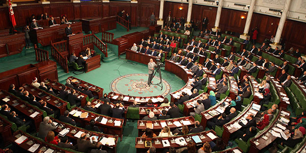 Tunus cumhurbaşkanı yeni anayasa için referanduma gidecek