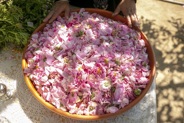Tunus’un kadim geleneği "çiçek damıtımı"