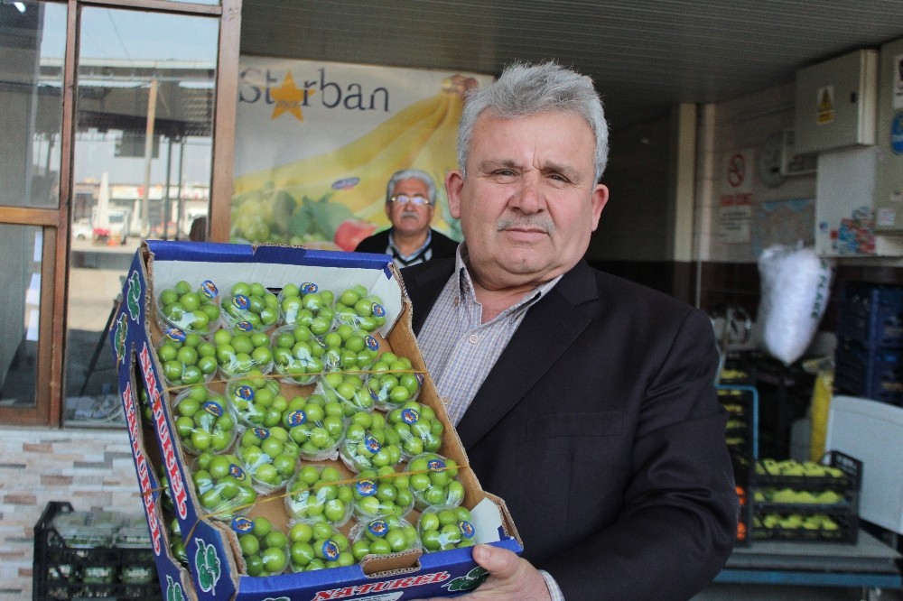 Turfanda erik cep yakıyor 
