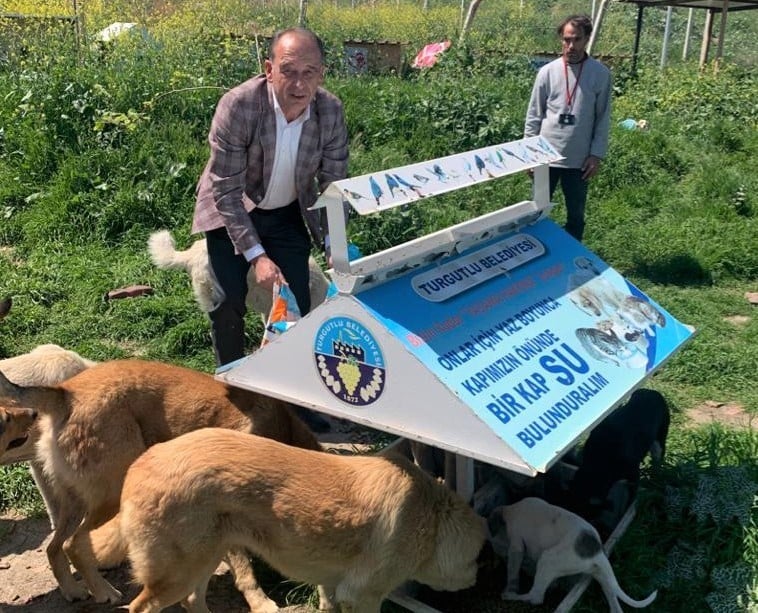Turgutlu Belediyesi sokak hayvanlarını unutmadı 