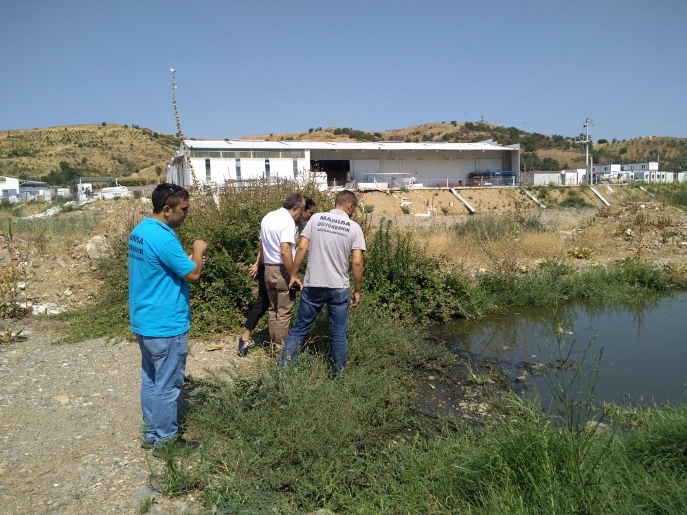 Turgutlu ve Salihli’de haşereyle mücadele devam ediyor 