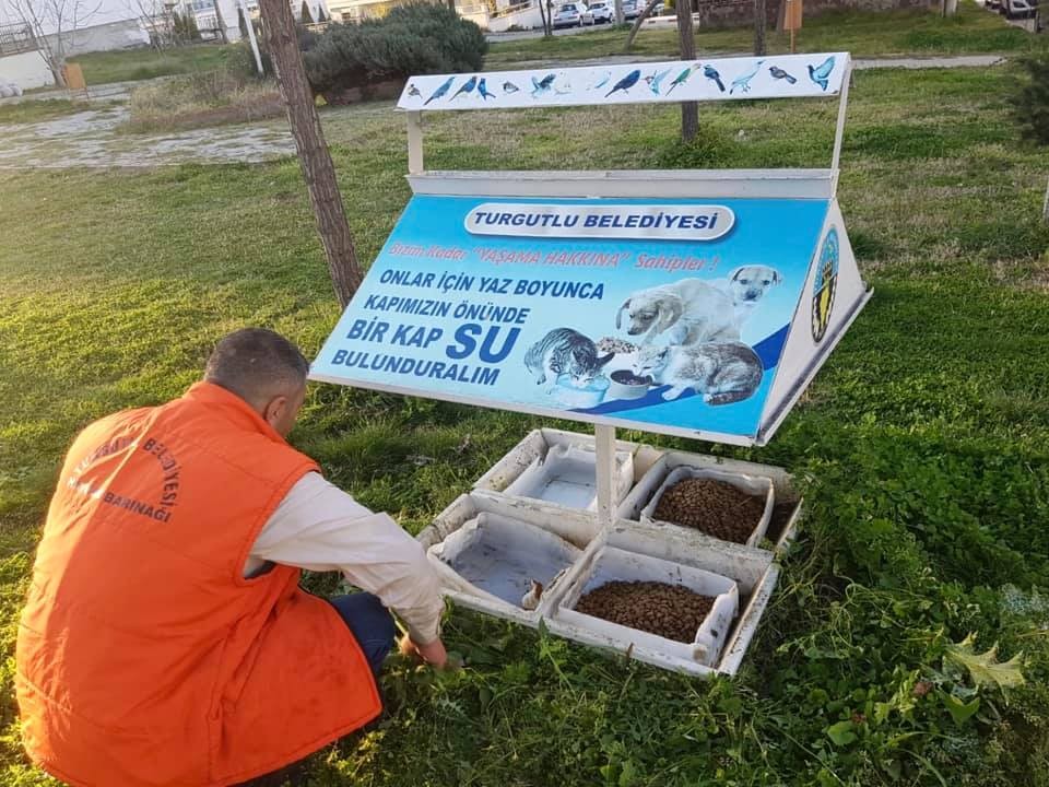 Turgutlu’da sokak hayvanları da unutulmadı 