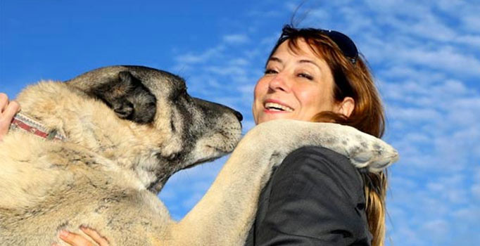 Turistler kangal köpeklerine hayran kaldılar