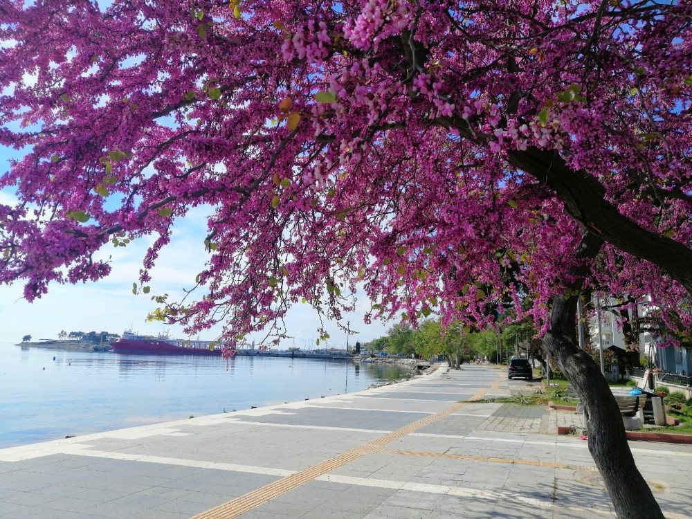 Turizm cenneti Erdek’te kartpostallık görüntüler 