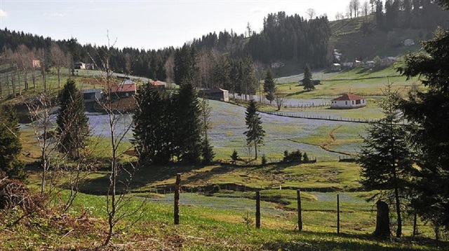 Turizmin yeni gözdesi: Tonya