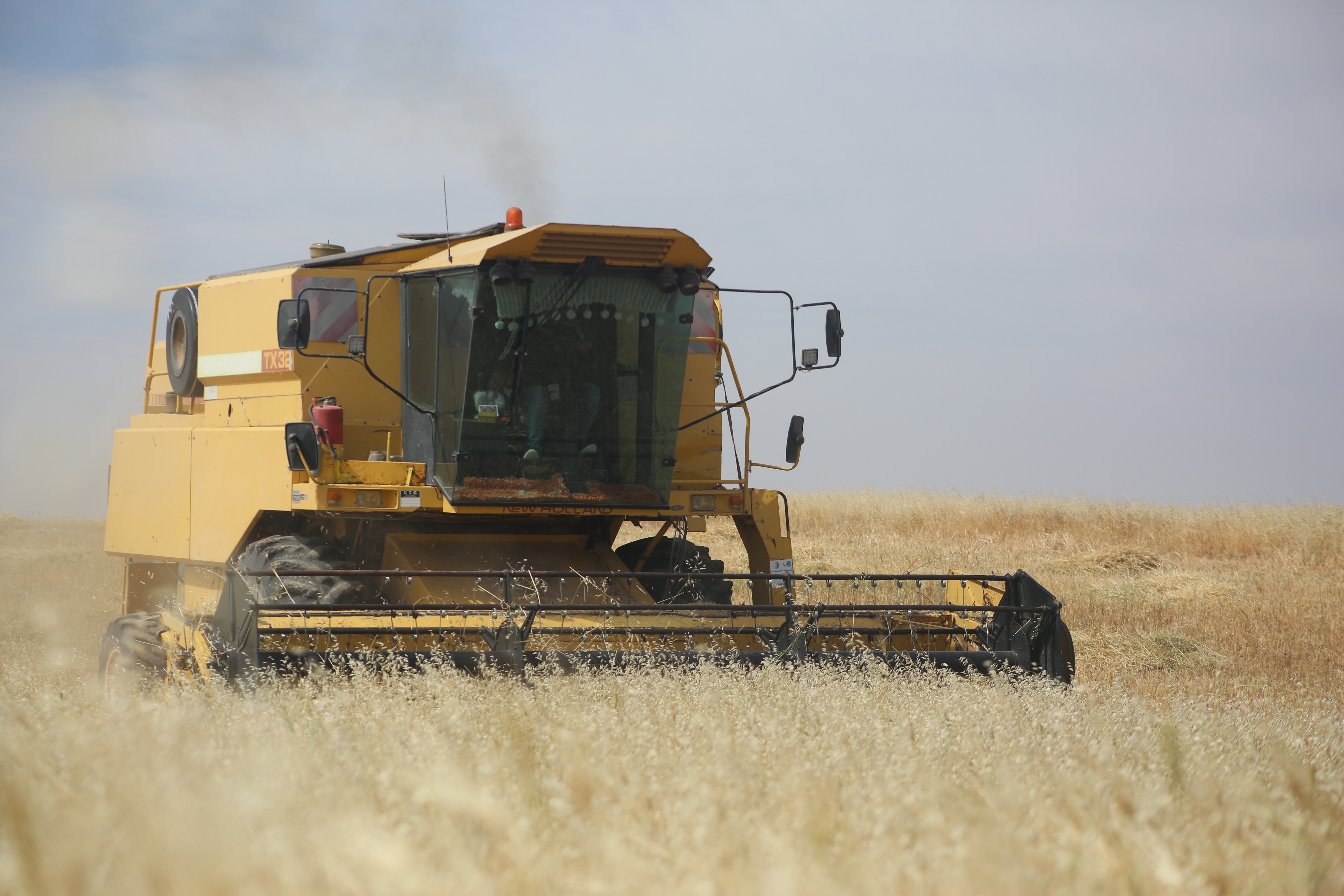 Türk askeri barış getirdi, bölge bereketlendi