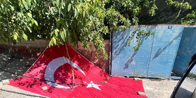 Türk bayrağını yere serip dut topladılar!