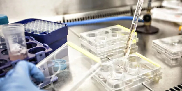 Türk bilim insanından ezberleri tam anlamıyla bozan açıklama! Hastalıkların nedeni bulundu, tıp tarihine geçecek