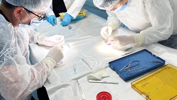 Türk bilim insanlarından dünyayı sarsacak buluş!