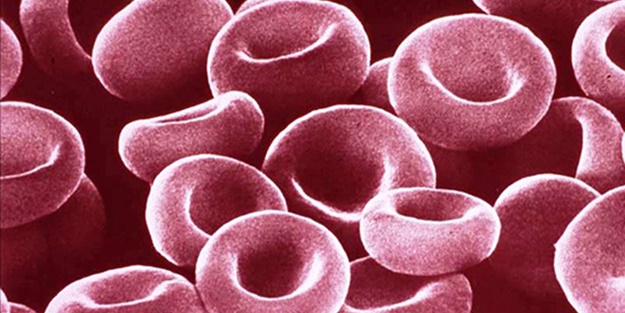 Türk bilim insanlarından önemli keşif