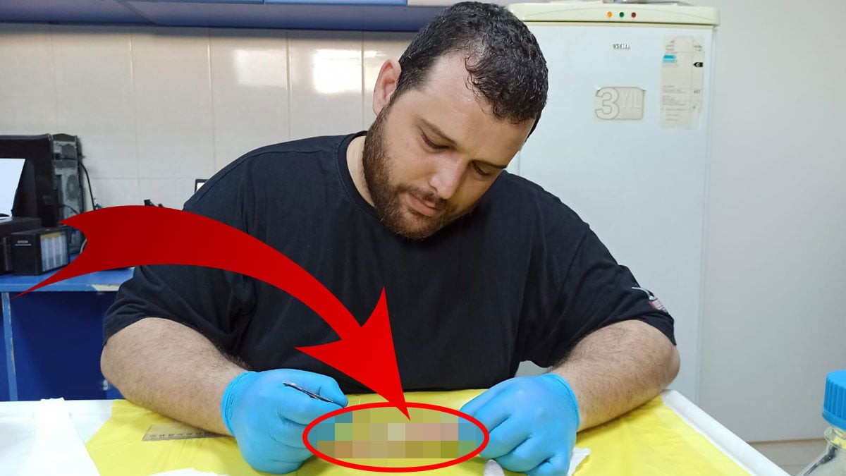 Türk bilim insanlarından şaşırtan keşif! İlk kez görüldü! Gerçekten hayret verici