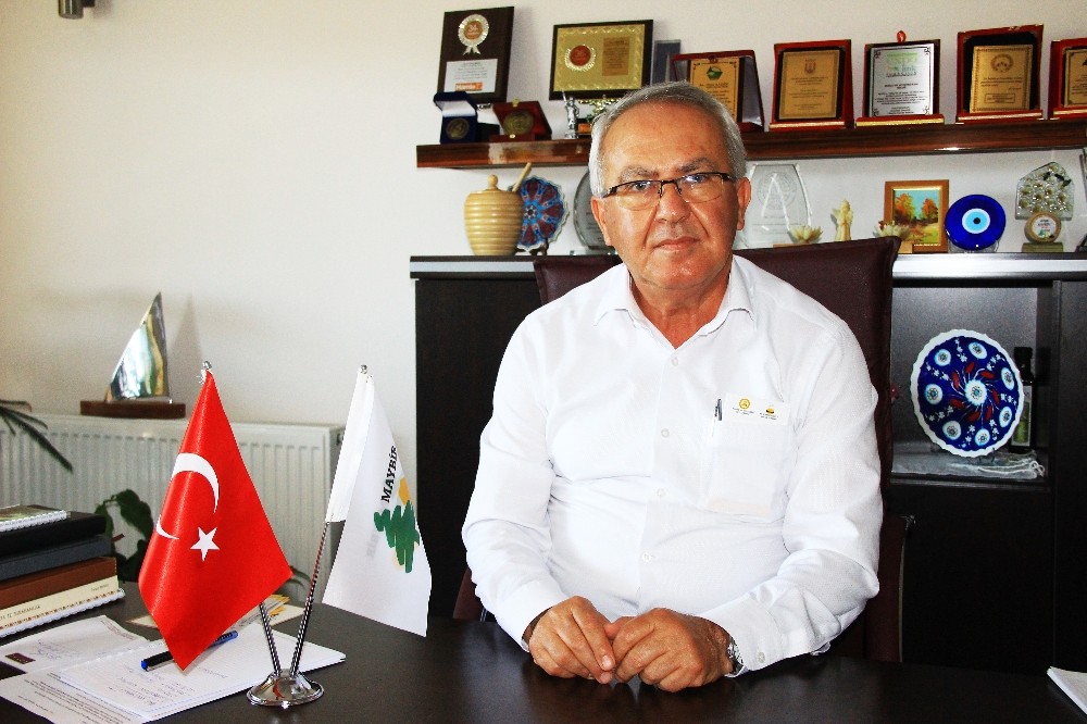 Türk çam balı coğrafi işaret projesi başladı 