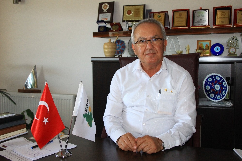Türk çam balı ISO belgesi alınca Avrupa’ya daha pahalıya satılacak 