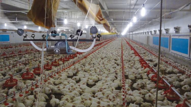 Türk devi resti çekti! Satmıyoruz...