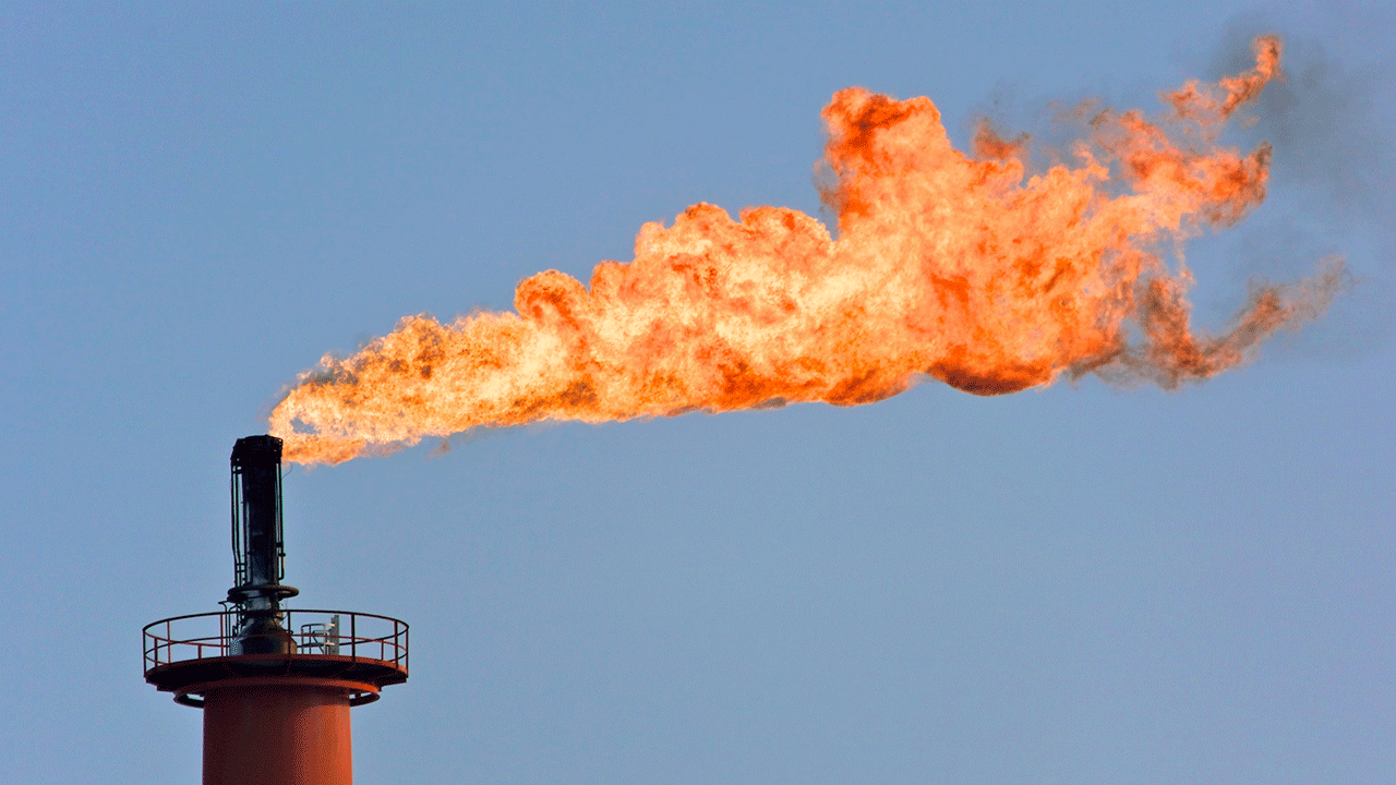 Türk devine yatırım yapacaklardı! Petrol devinin karı 45 milyon Euro'dan 4 milyon Euro'ya düştü