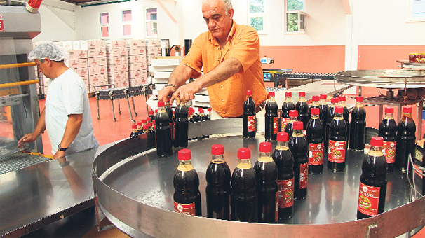 Türk devinin tamamını Japonlar alıyor!