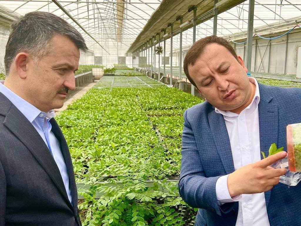 Türk dünyasının ortaklık alanları büyüyor