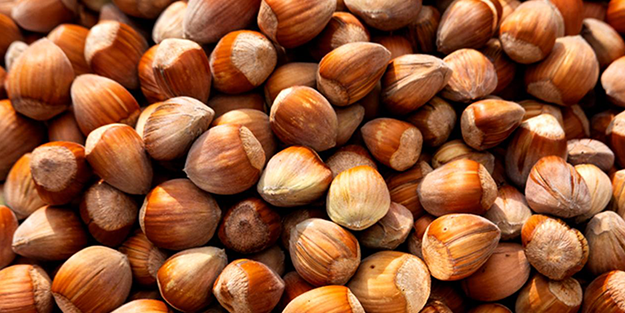 Türk fındığı dünya devini vurdu! Ne yapacaklarını şaşırdılar