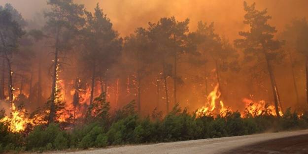 Türk firması geliştirdi... Dünyada ilk ve tek