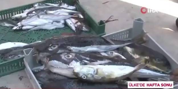 Türk girişimciden müthiş adım! Denizlerin kabusu yeni favori oldu