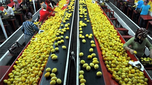 Türk heyet Rusya'ya gidiyor