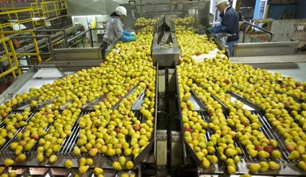 Türk imdadına Ruslar yetişti!