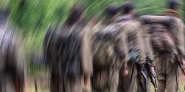 Türk istihbaratı her an enselerinde... Domuz yerken SİHA'lar indirdi!