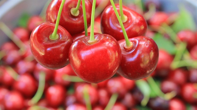 'Türk kirazı'na Avrupa pazarında büyük ilgi