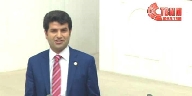 'Türk milleti' dememek için sınırları zorlayan HDP'li /VİDEO