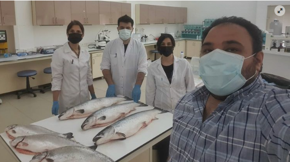 Türk mü Norveç mi? Araştırmacılar sonuca vardılar