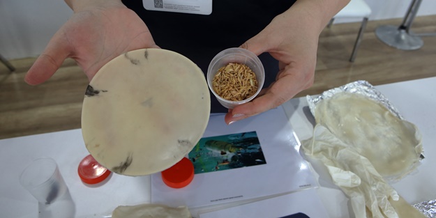 Türk öğrencilerden plastiğin sonunu getirecek müthiş buluş!