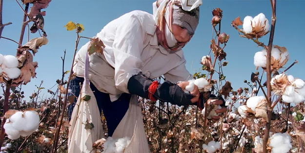 Türk pamuğu ithal pamuğa yenildi...